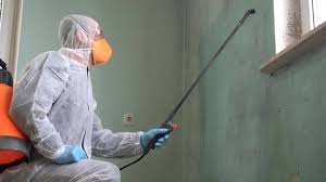 Best Asbestos and Lead Testing During Mold Inspection  in Gillett, WI