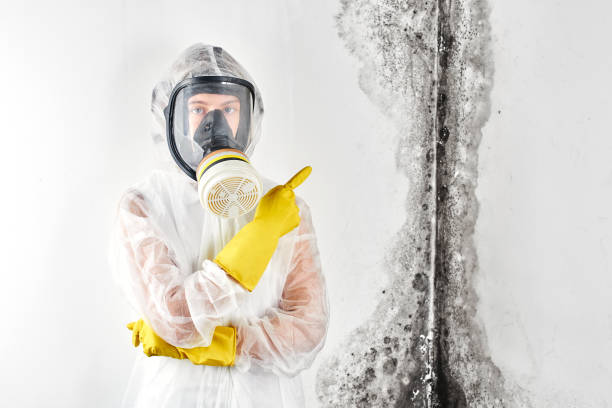 Best Biohazard Mold Removal  in Gillett, WI